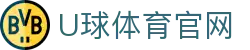 U球体育 | 足球直播神器 - 支持多线路切换看球更爽